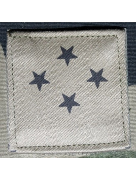 Grade Général corps d'armée 4 étoiles