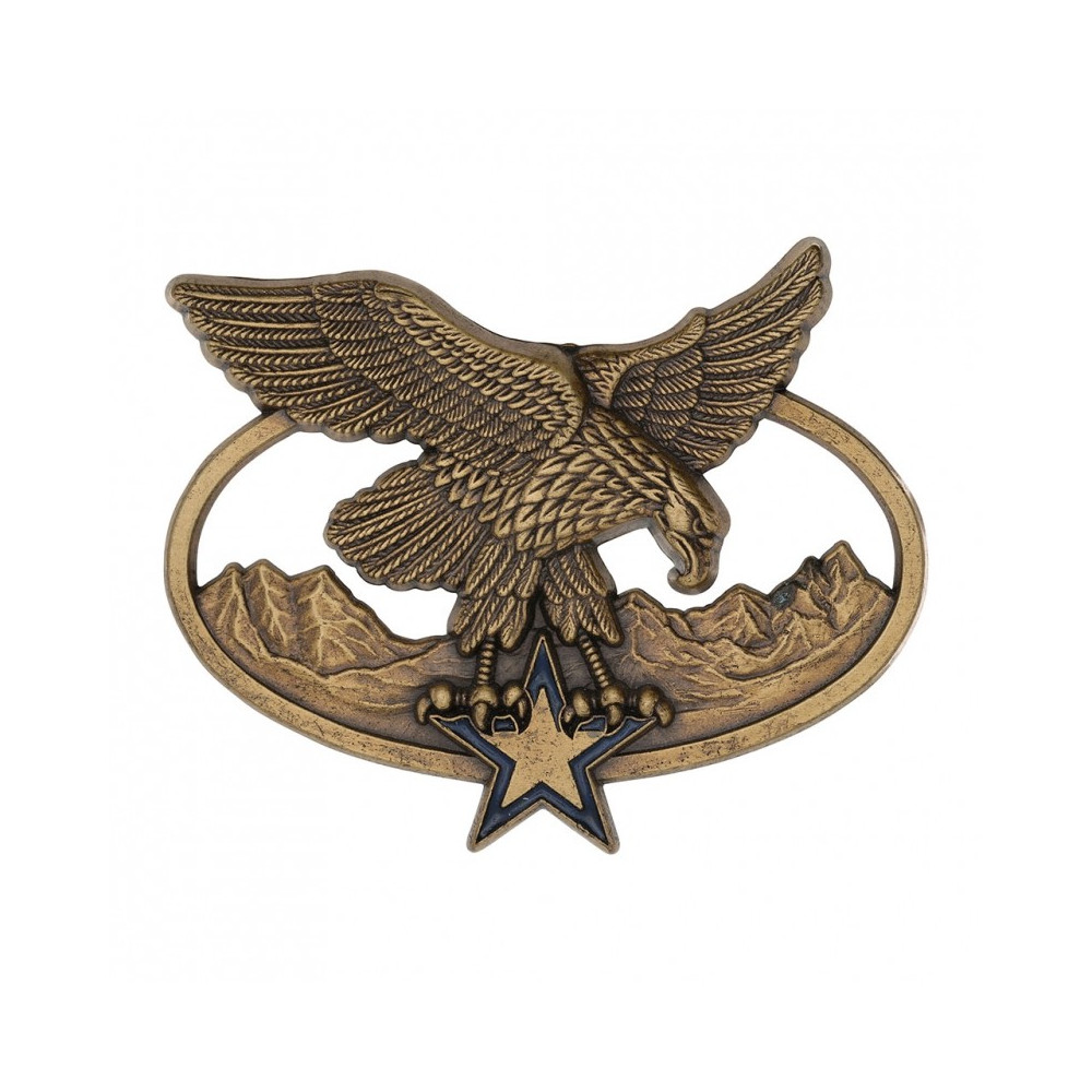 Brevet Chasseur Alpin ISTM Etoile bleue (GS 138) Brevet Chasseur Alpin ISTM Etoile bleue (GS 138)