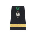 Fourreaux Légion Argent
