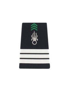 Fourreaux Légion Argent
