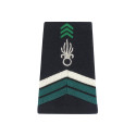 Fourreaux Légion Argent