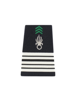 Fourreaux Légion Argent