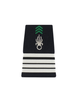 Fourreaux Légion Argent