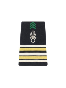 Fourreaux Légion Argent