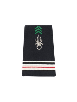 Fourreaux Légion Argent