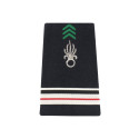 Fourreaux Légion Argent
