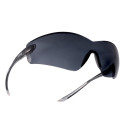 Lunettes Bollé cobra fumées platinum (COBPSF)
