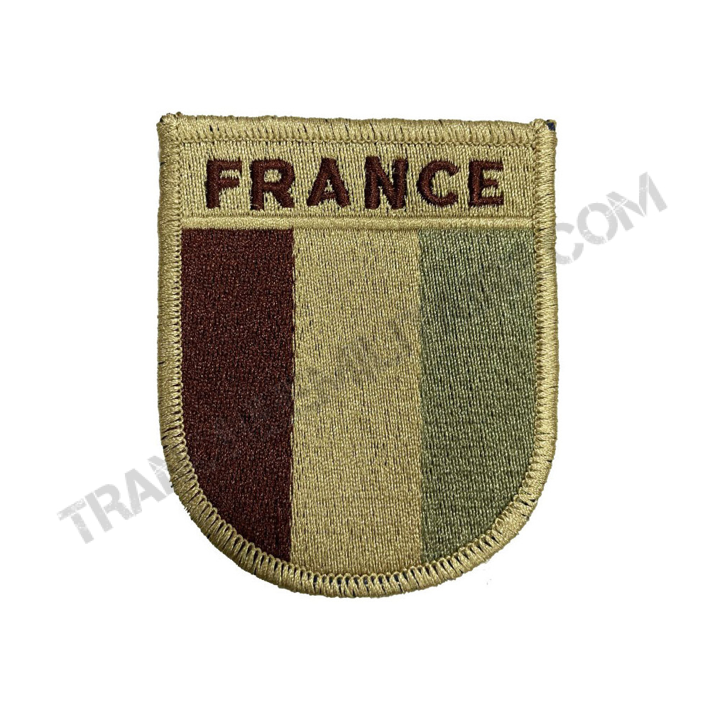 Logo insigne militaire armée écusson brodé patch tissu Armée de Terre Française 