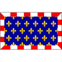 Drapeau Touraine (150*90 cm)