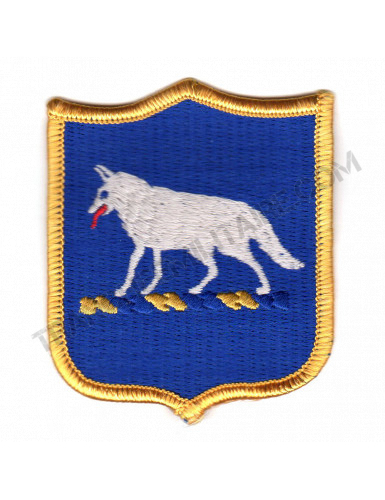 Patch US Garde nationale...