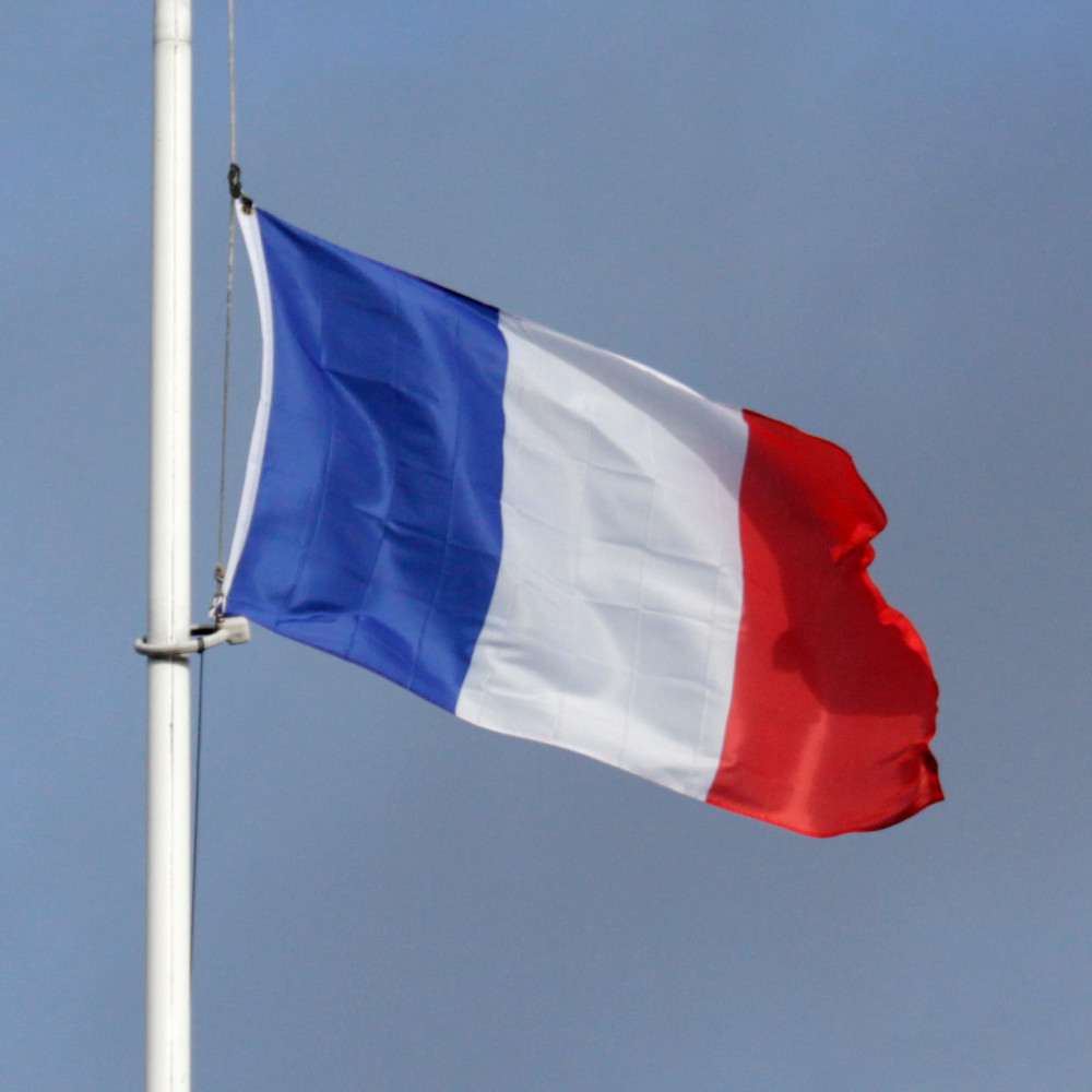 agitant le drapeau du pays de la france. drapeau tricolore