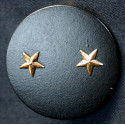 Insigne béret Général Brigade 2 étoiles Armée française