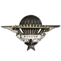 Brevet Militaire de Parachutisme DELSART (numéroté)