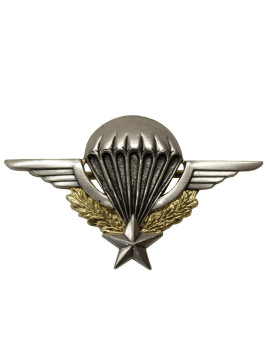 Brevet Militaire de Parachutisme DELSART (numéroté)