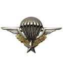 Brevet Militaire de Parachutisme DELSART (numéroté)