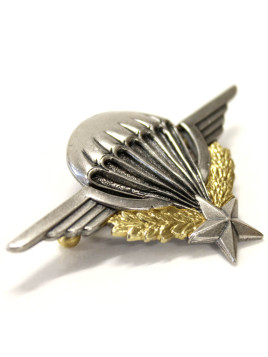 Brevet Militaire de Parachutisme DELSART (numéroté)