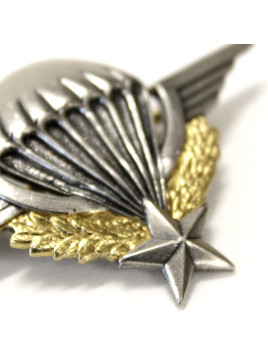 Brevet Militaire de Parachutisme DELSART (numéroté)