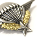 Brevet Militaire de Parachutisme DELSART (numéroté)