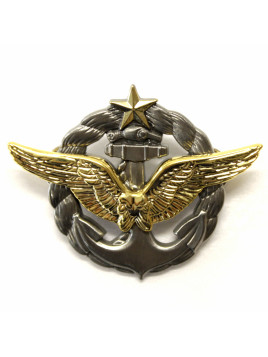 Pilote Aéronaval