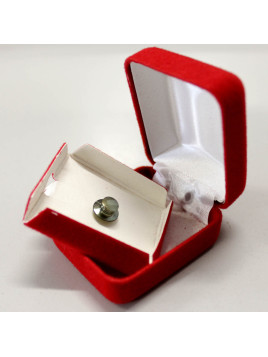 Bouton de revers du Corps des Marines