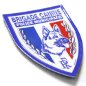 Brigade canine