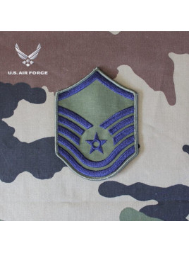 Insigne de manche USAF (1 paire)