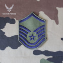 Insigne de manche USAF (1 paire)