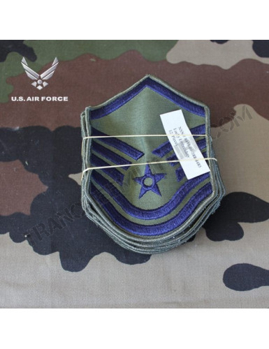Insigne de manche USAF (1 paire)