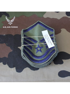 Insigne de manche USAF (1 paire)