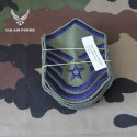 Insigne de manche USAF (1 paire)