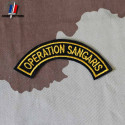 Arc de bras Opération Sangaris