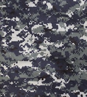 Marpat blueberries US Navy